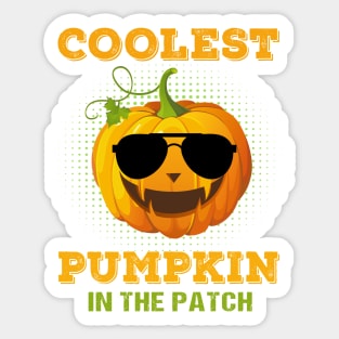 Coolest pumpkin in the patch Sticker